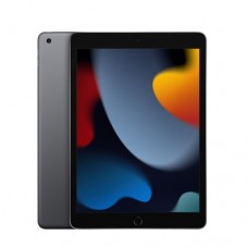 Apple iPad 10.2吋 A13 Wi-Fi 256GB 平板電腦 LTE太空灰