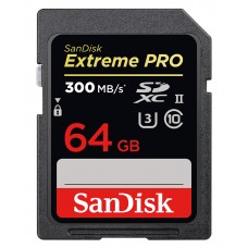 SANDISK SDSDXPK-064G-GN4IN