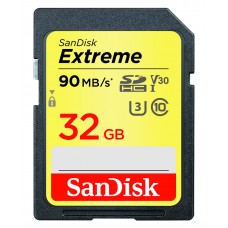 SANDISK SDSDXVE-032G-GNCIN